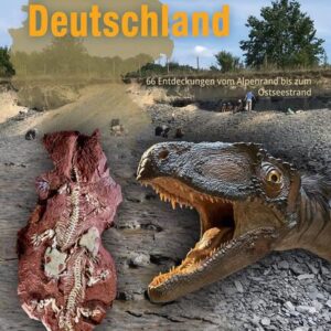SaurierZeitReise